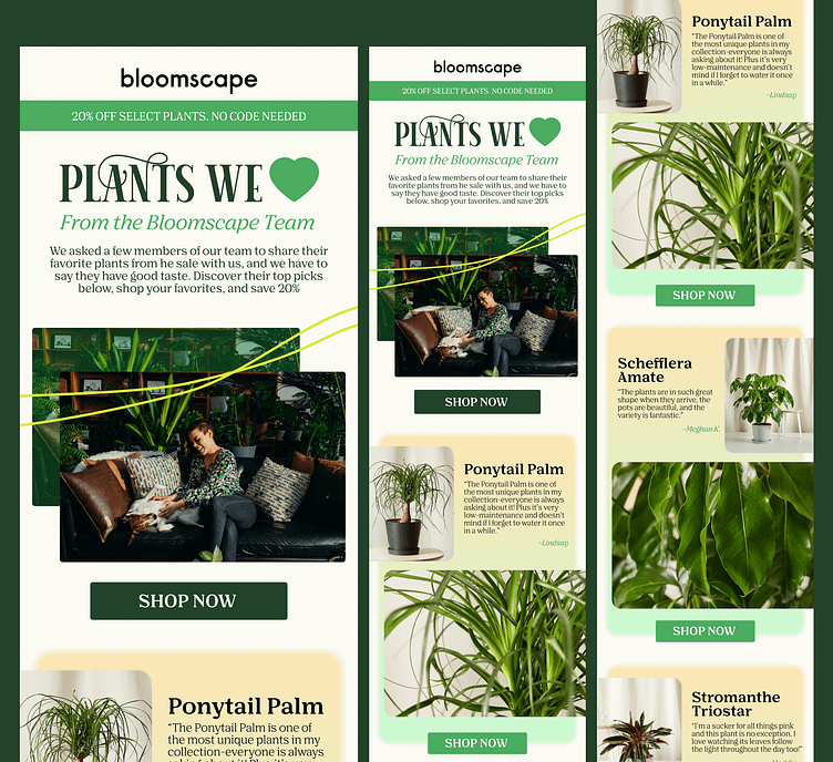 i-will-do-klaviyo-mailchimp-and-newsletter-template-design-by-md-ripon
