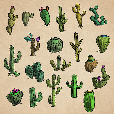 Isometric Cacti art cacti colorable creative custom illustration isometric