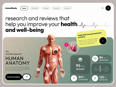 InnerBody - Anatomy Systems🫀 anatomy body design doctor health healthcare heart hospital human landing landingpage medical care medicine science trend ui uidesign uiux web website