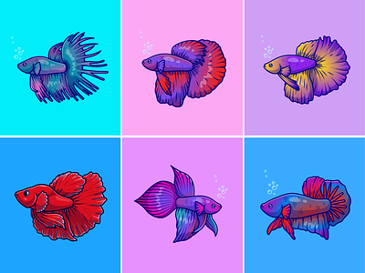 Cute Betta Guppy Fish🐟 animals aquarium aquatic betta fish color colorful cupang cute exotic fish guppy fish icon illustration logo nature pet tail water zoo