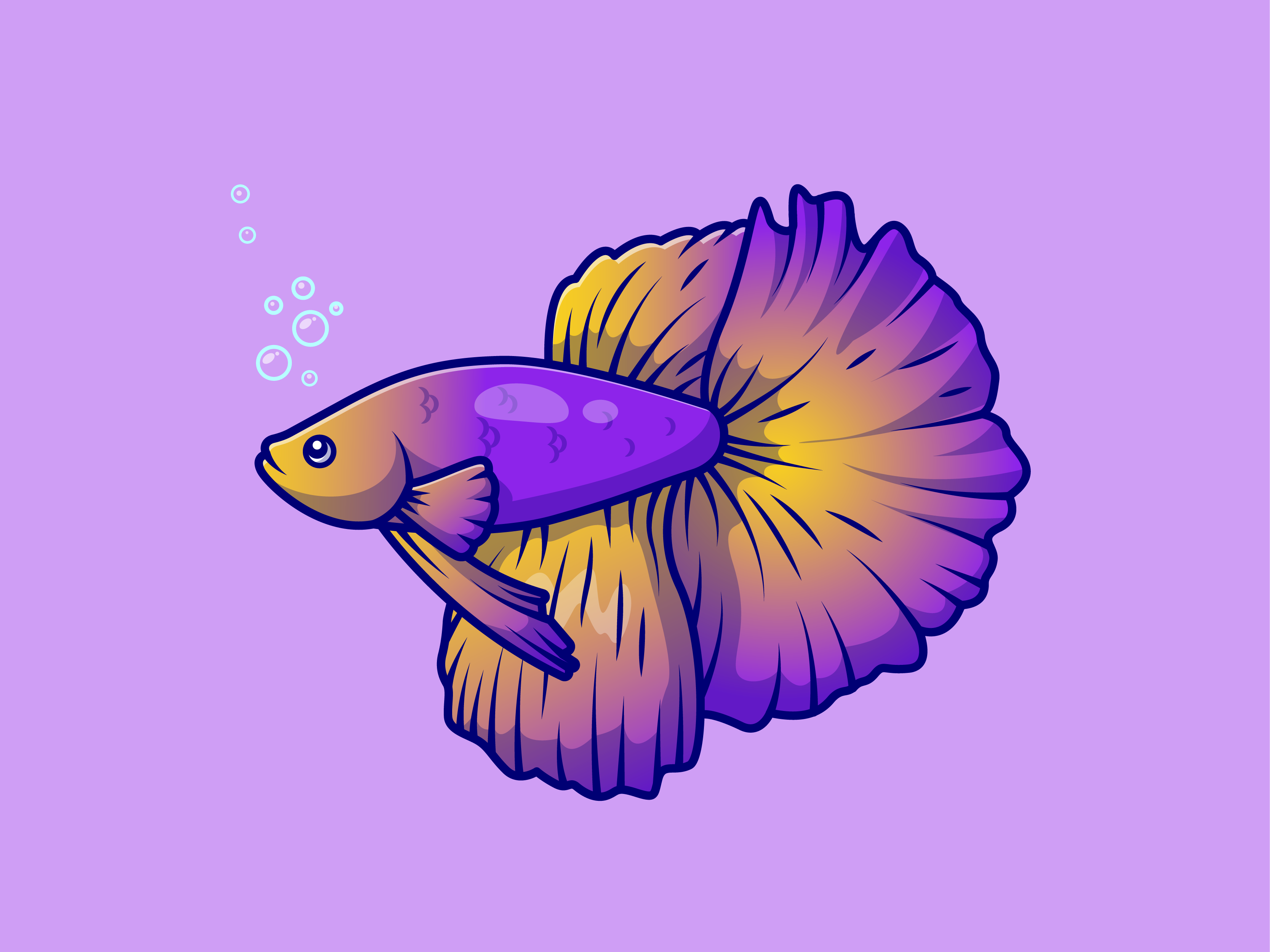 Betta Fish Color Vision: Myth Busted! - 4ek0ftk