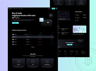 Cex/LandingPage blockchain btc cex crypto design illustration ui