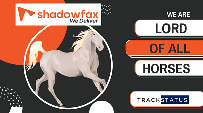 Shadowfax branding graphic design ux