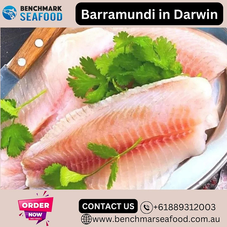Order Online Barramundi in Darwin Benchmark Seafood by Benchmark