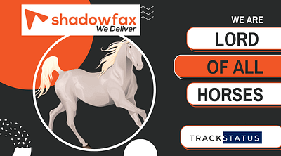 SHADOWFAX TRACKING branding design graphic design illustration