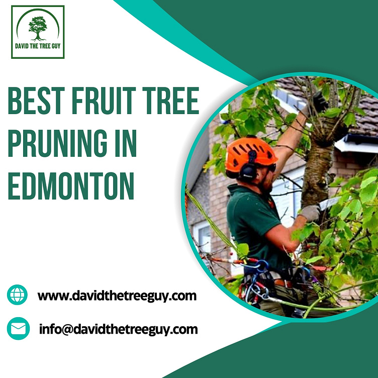 Best Fruit Tree Pruning in Edmonton by David The Tree Guy on Dribbble