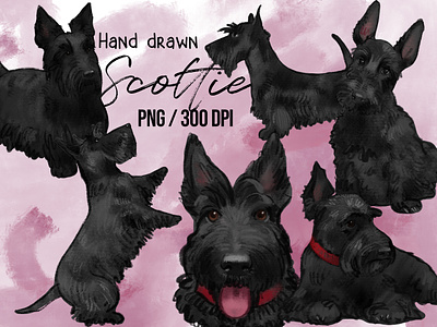Hand drawn scottish terrier illustration clip art clip art cute dog dog drawing hand drawn illustration scottie dog scottish terrier