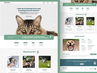 Landing Page for Stray Pet (Web Design Exploration) animal branding cat design dog graphic design landing page minimal ui ux vector