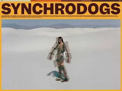Synchrodogs Folio animation interface promo ui ux web website