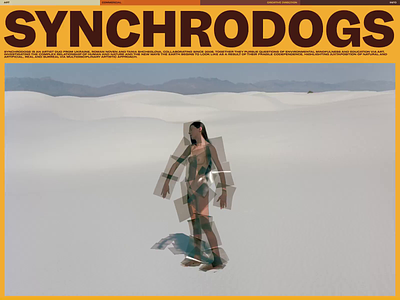 Synchrodogs Folio animation interface promo ui ux web website