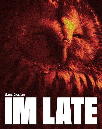 Im late design graphic design typography