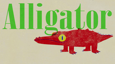 alligator after effects allligator cel text texture