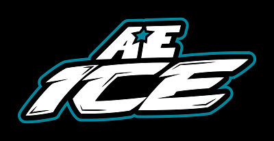 Atlanta Elite Cheer ICE Team Identity