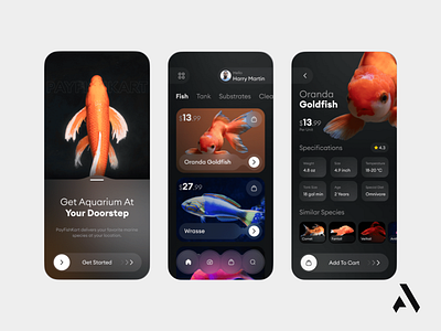 Mobile App design graphic design ui ux