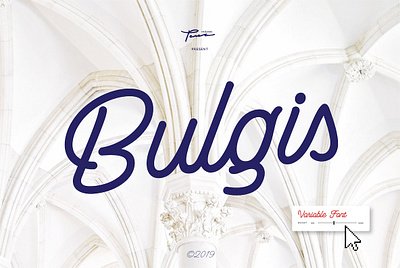 Bulgis Script Font design display font font font design handlettering illustration logo script font typeface design