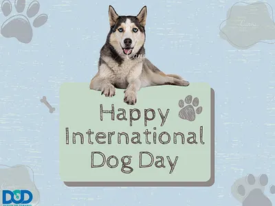 𝐇𝐀𝐏𝐏𝐘 𝐈𝐍𝐓𝐄𝐑𝐍𝐀𝐓𝐈𝐎𝐍𝐀𝐋 𝐃𝐎𝐆 𝐃𝐀𝐘 designondemands