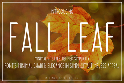 Fall leaf app branding design graphic design illustration logo typography ui ux vector