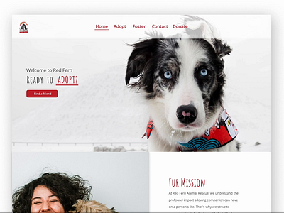 Animal Shelter animal shelter design designer figma landing page ui ux uxui visual designer web design
