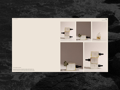 Barbara Skrodzka - Portfolio animation animations britalism clean creative development effect homepage minimal minimalism personal portfolio project typography web web design web development webgl website white