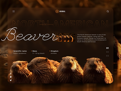 Significant otter pun design by AgnesSz on Dribbble