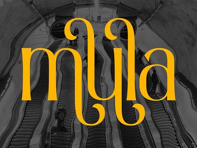 MULA Logotype By Font Admercia alternates brand identity branding cover design font fonts graphic design hipster informa letter logo logotype modern font new font serif summer type typeface typography