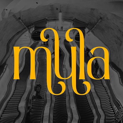 MULA Logotype By Font Admercia alternates brand identity branding cover design font fonts graphic design hipster informa letter logo logotype modern font new font serif summer type typeface typography