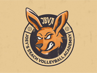 Joey's Beach Volleyball Academy Logo Concepts brand collateral branding design designart graphic design logo