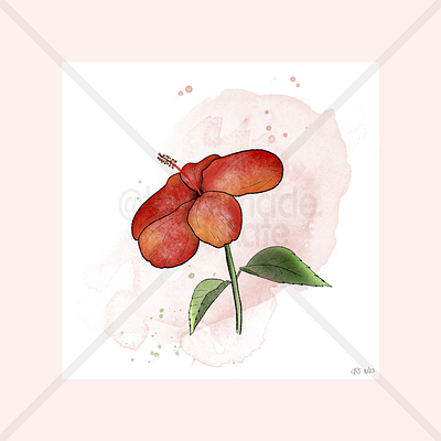 Hibiscus 🌺 design floral flowers hibiscus textiles watercolour