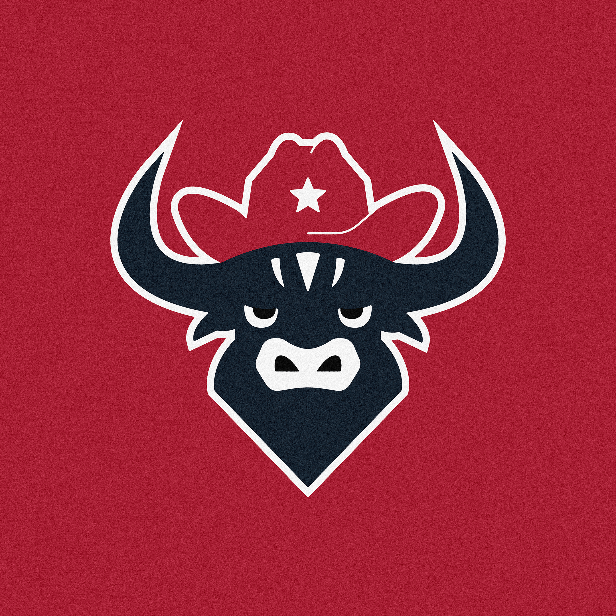 Houston Texans branding design football graphic design houston icon illustration logo nfl rebrand retro texans type vector vintage