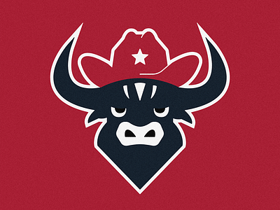 Texans logo and jersey redesign : r/Texans