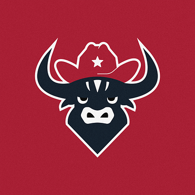 Houston Texans branding design football graphic design houston icon illustration logo nfl rebrand retro texans type vector vintage