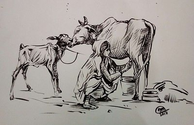 Milk collecting art drawing illustration painting sketch