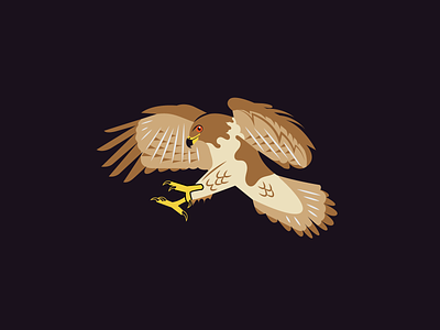 Rough Legged Hawk adobe illustrator beak bird of prey claws earth tones feathers geometric hawk illustration label mead packaging rough legged hawk talons vector wine wings