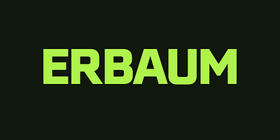 Erbaum Type Family Font animation branding design graphic design illustration logo ui vector