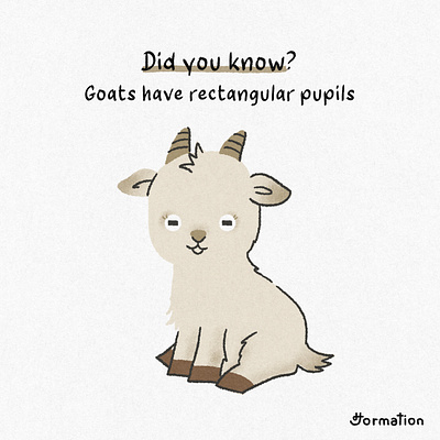 Goats have rectangular pupils animal cartoon digital art digital illustration fact fun fact goat illustration procreate pupil
