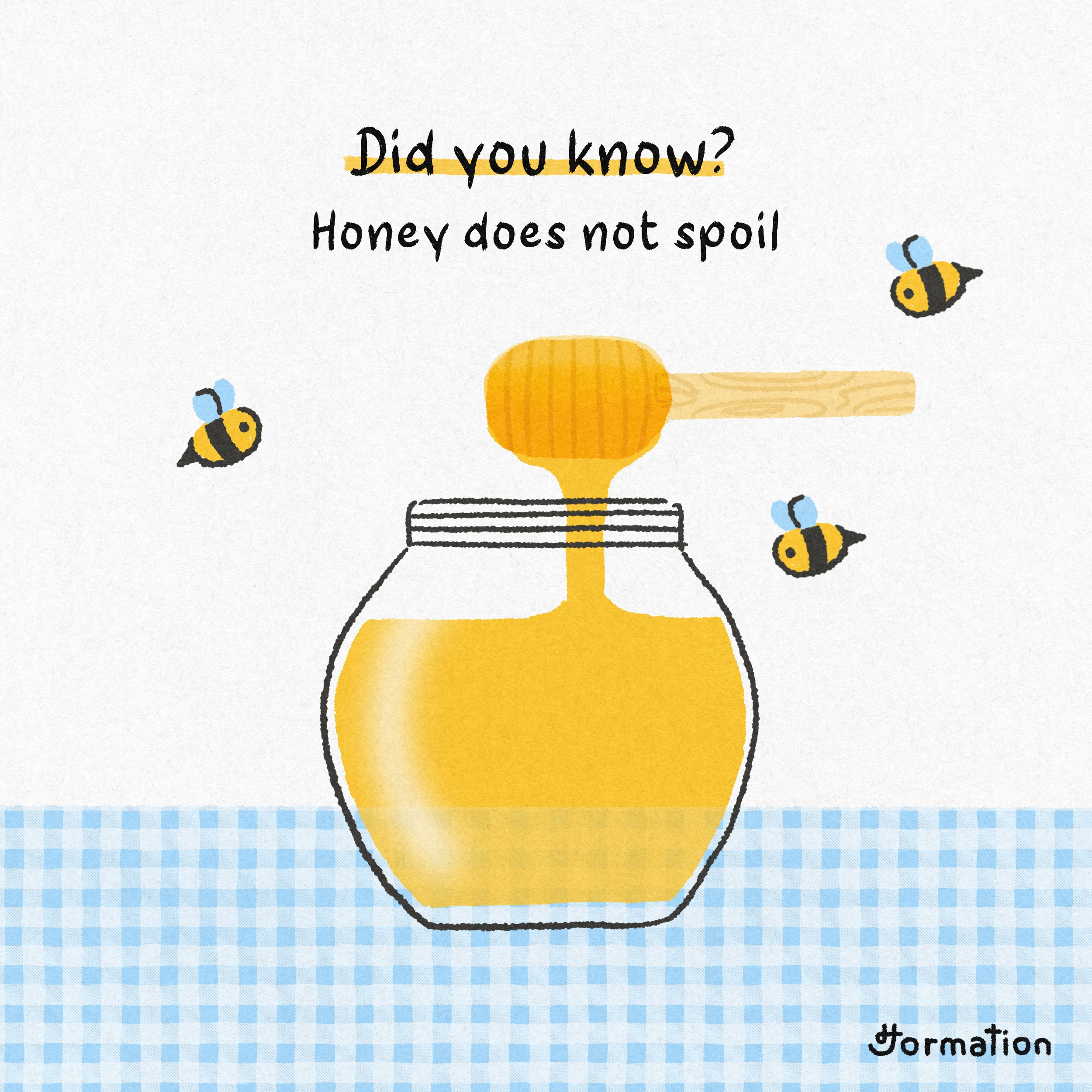 Honey does not expire bee cartoon did you know digital art digital illustration drawing fact fun fact honey illustration procreate