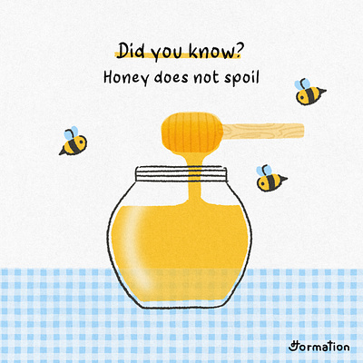 Honey does not expire bee cartoon did you know digital art digital illustration drawing fact fun fact honey illustration procreate