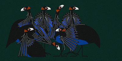 Confusion (2023) design illustration minimal illustration nature vector wildlife