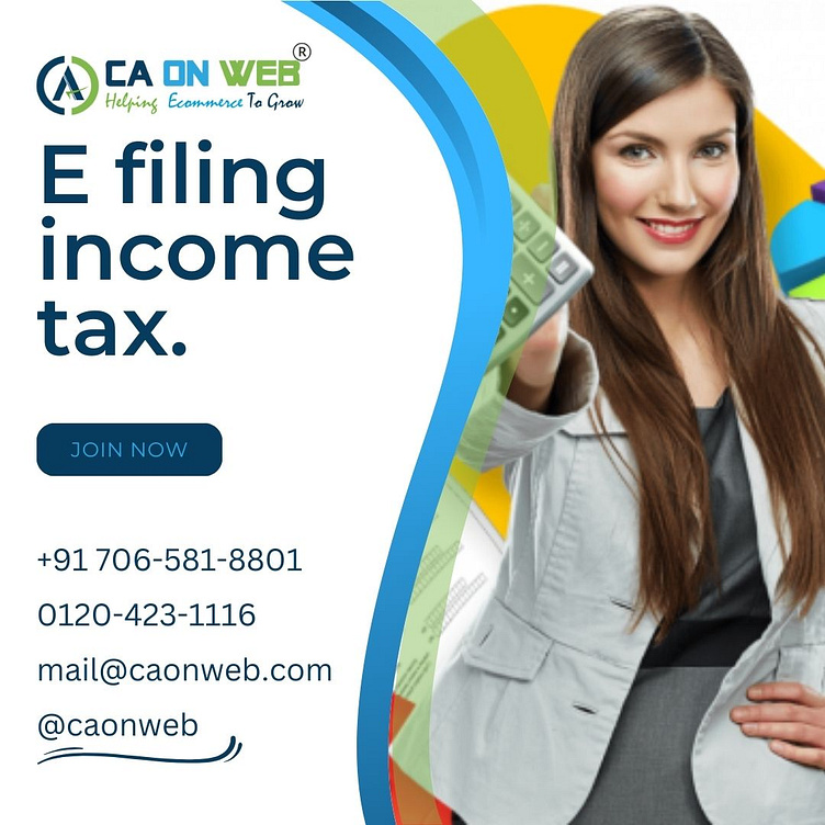 e-filing-income-tax-by-ca-onweb-on-dribbble