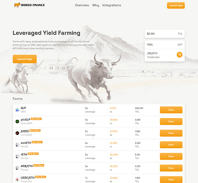 Rodeo Finance Website UI/UX Design graphic design ui ui design uiux design ux ux design web design website design