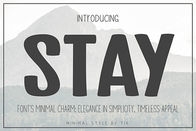 Stay app branding design graphic design illustration logo typography ui ux vector