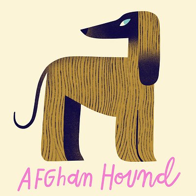 Afghan Hound afghan hound animals dog dog breeds dogs illustration pet pet illustration pets procreate