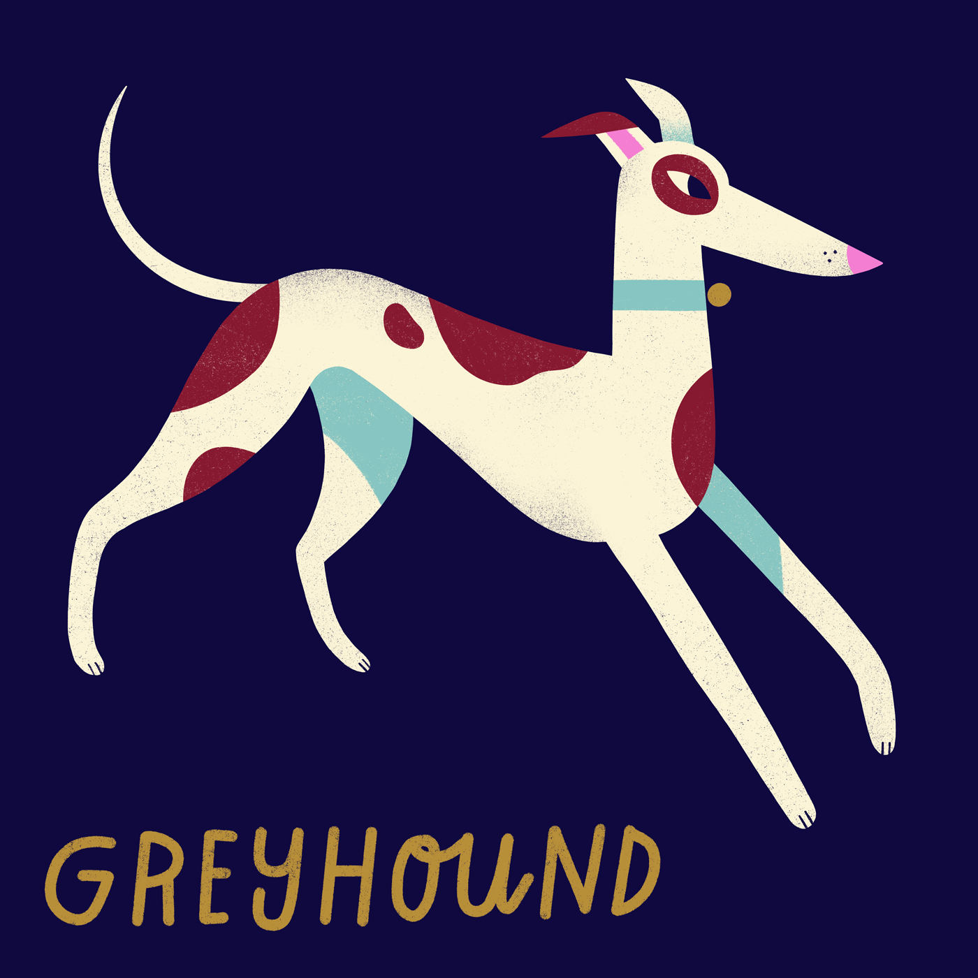 Greyhound digital art dog dog breeds dogs greyhound illustration pet pets procreate