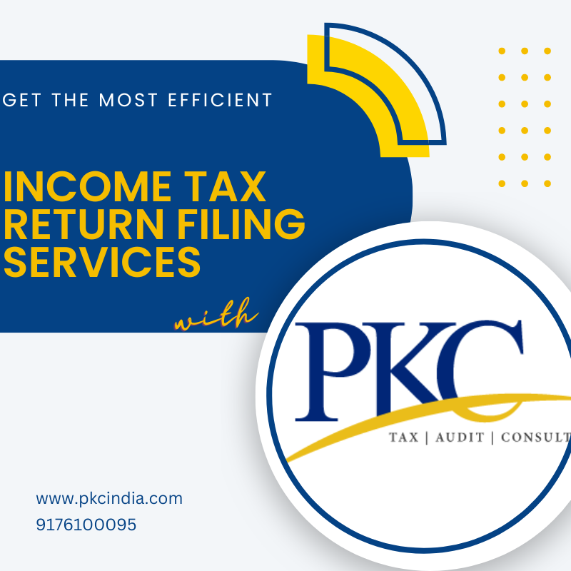 income-tax-return-filing-services-by-pkc-management-consulting-on-dribbble