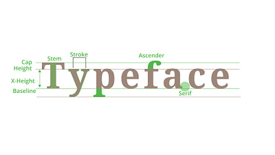 TYPOGRAPHY branding graphic design illustration typeface typography