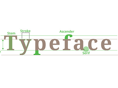 TYPOGRAPHY branding graphic design illustration typeface typography