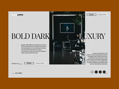 BLACK & WHITE LANDING AGE USING GOLDEN CANON GRID golden canon grid landing page ui ux