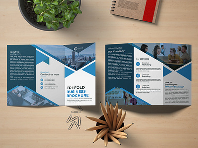 Brochure Designs branding brochure design design graphic design illustration typography ui vector