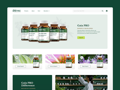B2B Website Layout