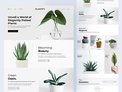 Plantify - Plant Shop Website botanical digital shopping e commerce garden vibes greenery home decor indoor plants interior greenery nature inspired online retail plant decor plant enthusiasts plant lovers plant shop plant store pot plants sustainable living ui design urban jungle web design